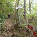 登山道