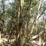 東香川の龍王山・山名表示