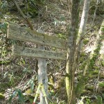 登山口・苔むした標柱