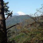 木々の間から富士山遠望・9:17